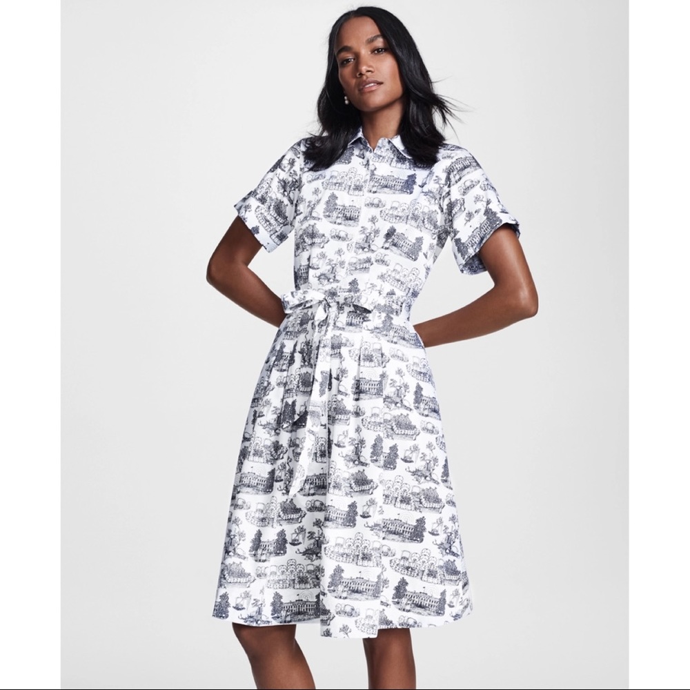 Brooks Brothers Toile Supima Cotton Shirt Dress